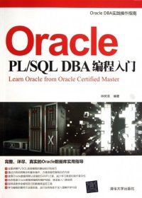 Oracle PLSQL DBA编程入门(Oracle DBA实践操作指南) 【正版九新】