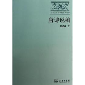 唐诗说稿 古典文学理论 杨恩成