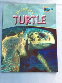 The Life of a Turtle  干净无写划