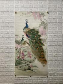 精品大尺幅《百鸟之王孔雀》绢本 笔墨精道 刻画生动传神  寓意美好  紫藤寓意紫气东来  兰花寓意高雅贤德的君子 坚贞不渝