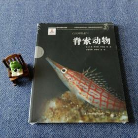脊索动物/中国野生动物生态保护 国家动物博物馆精品研究