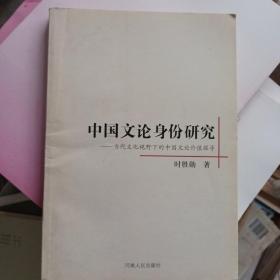 中国文化身份研究：当代文化视野下的中国文论价值探寻