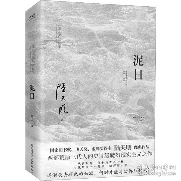 泥日（知名作家陆天明魔幻现实主义突破之作，西北荒原的壮丽家族史诗，他们从未年轻过，也只想活得好一点）
