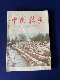 中国林业（1962年第1、2、7、8、9、10、11、12期）8期合售