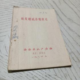 埃及塘虱養殖技術