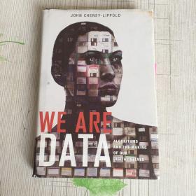 We Are Data: Algorithms and The Making of Our Digital Selves 我们是数据 9781479857593