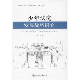 少年庭发展战略研究 法学理论 唐勇