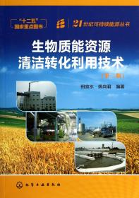 生物质能资源清洁转化利用技术(第2版)/21世纪可持续能源丛书