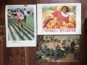 知青题材宣传画 孙立新作“广阔天地炼红心 誓为人类多贡献” 李树基作“扎根荒原第一春”等三幅合售