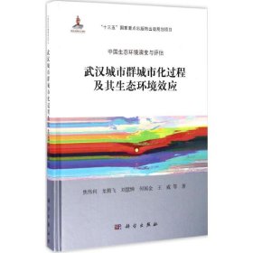 【正版书籍】武汉城市群城市化过程及其生态环境效应
