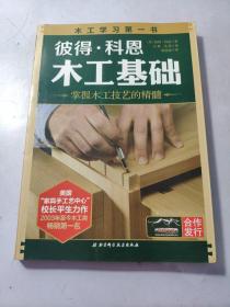 彼得·科恩木工基础：掌握木工技艺的精髓