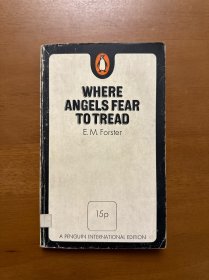 Where angels fear to tread 无主之地