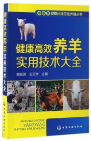 健康高效养羊实用技术大全/小家畜规模化规范化养殖丛书
