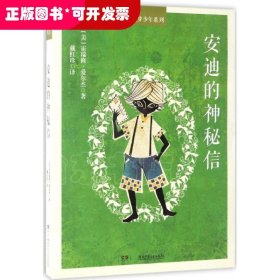 追梦少年系列：安迪的神秘信