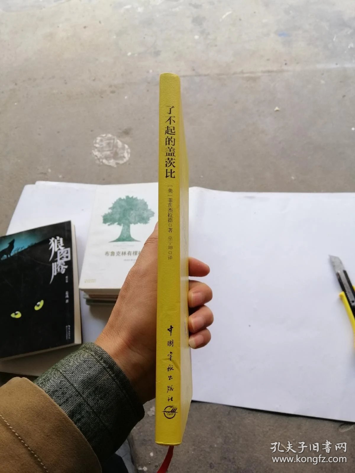 了不起的盖茨比