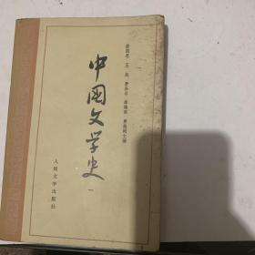 中国文学史 全四册