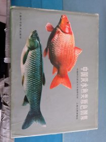 中国淡水鱼类原色图集（第一集）