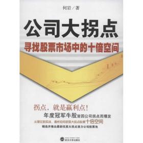 公司大拐点:寻找股票市场中的十倍空间 股票投资、期货 何岩