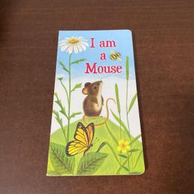 I Am a Mouse 我是一只鼠仔