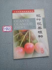 观叶观果植物——中国观赏植物图鉴丛书
