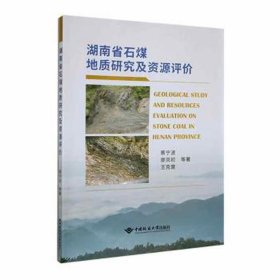 湖南省石煤地质研究及资源评价 冶金、地质 蔡宁波 新华正版