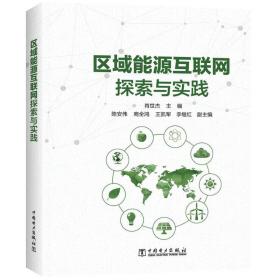 区域能源互联网探索与实践 能源科学 肖世杰 主编