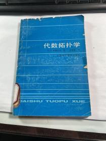 代数拓扑学  斯潘尼尔 上海科学技术出版社   1987年         馆藏      保证正版   照片实拍   J70