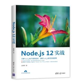 node.js 12实战 编程语言 赵荣娇