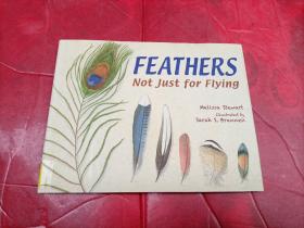 FEATHERS Not Just for Flying 羽毛不仅仅是为了飞行