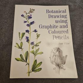 botanical Drawing using Graphite and Coloured Pencils