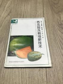 西瓜甜瓜栽培技术