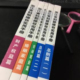 浙江省妇联维权实用手册（全五册）