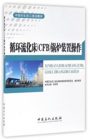 循环流化床CFB锅炉装置操作