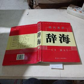 现代汉语，辞海（1-4）共4本