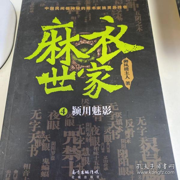 麻衣世家4:颖川魅影