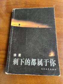 剩下的都属于你（徐星著，2004年初版）