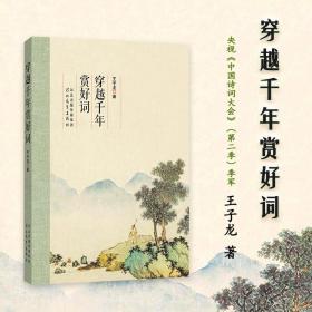 穿越千年赏好词 中国古典小说、诗词 王子龙 新华正版
