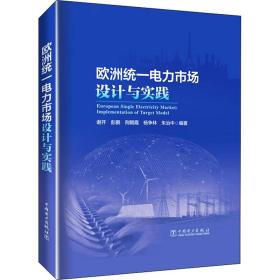 欧洲统一电力市场设计与实践 谢开、彭鹏、荆朝霞著 9787519867768 中国电力出版社