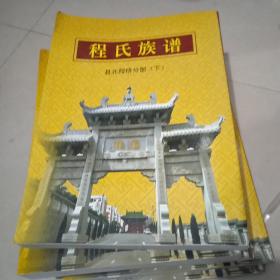 程氏族谱【县北程桥分部下】