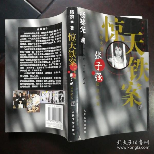 惊天铁案(上下)