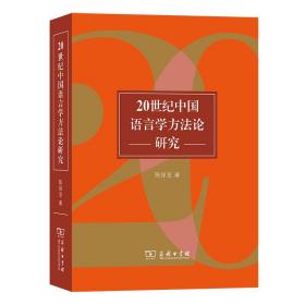 20世纪中国语言学方论研究 语言－汉语 陈保亚 新华正版