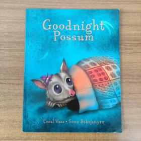 英文原版 Goodnight possum