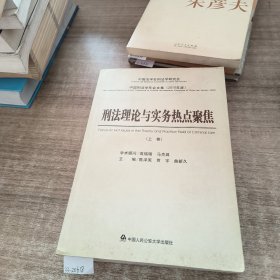 中国刑法学年会文集（2010年度）：刑法理论与实务热点聚焦上卷