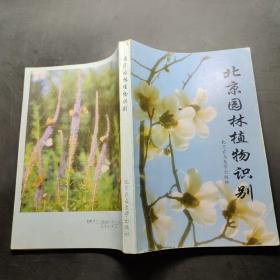 北京园林植物识别