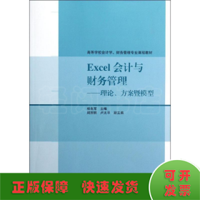Excel会计与财务管理