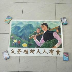 义务植树，人人有责