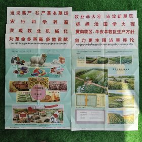牧业学大寨 建设新草原（共八幅）宣传画挂图 2开汉藏对照