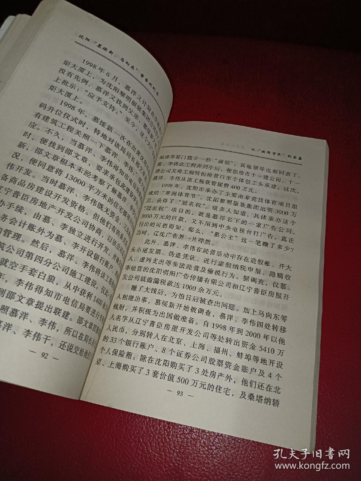 沈阳慕绥新马向东案查处纪实