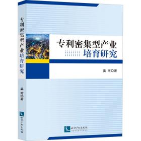 新华正版 密集型产业培育研究 姜南 9787513073097 知识产权出版社 2021-01-01