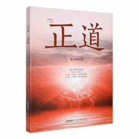 正道 官场、职场小说 史迪钢 新华正版